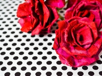 Craft A Doodle Doo Egg Carton Roses